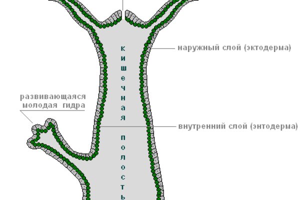 Блэкспрут ссылка bs2webes net